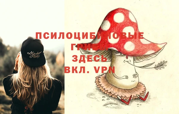 ПСИЛОЦИБИНОВЫЕ ГРИБЫ Бронницы