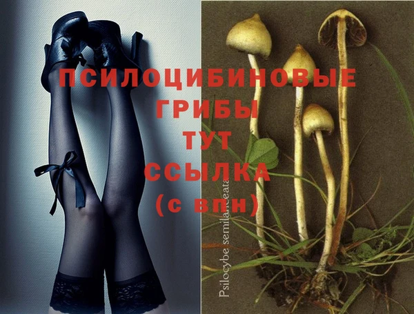 каннабис Бородино