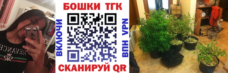 Конопля планчик  Купить  Дмитров 